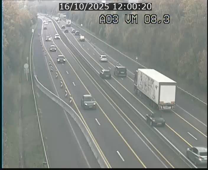 Traffic live webcam Luxembourg Bettembourg - A3 - BK 8.3 - direction France