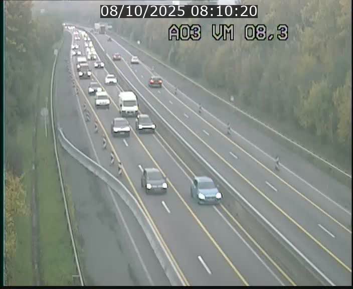 Traffic live webcam Luxembourg Bettembourg - A3 - BK 8.3 - direction France