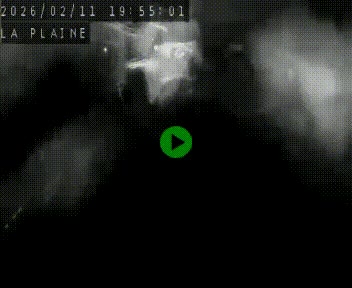 Caméra routière France - N109, Juvignac - La plaine, en direction de Clermont l'Hérault, à la sortie de Montpellier