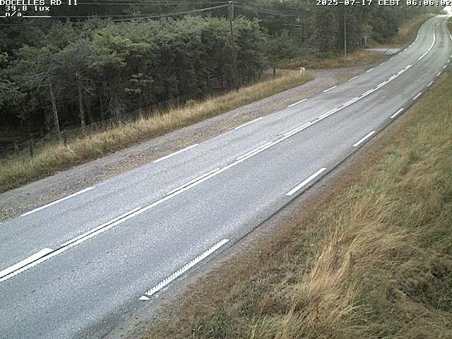 Webcam à 424 mètres d'altitude dans la Tranchée de Docelles dans les Vosges, à proximité d'Epinal sur la route de Gerardmer (D11)