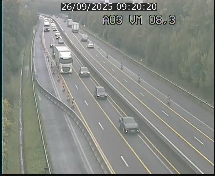 Traffic live webcam Luxembourg Bettembourg - A3 - BK 8.3 - direction France