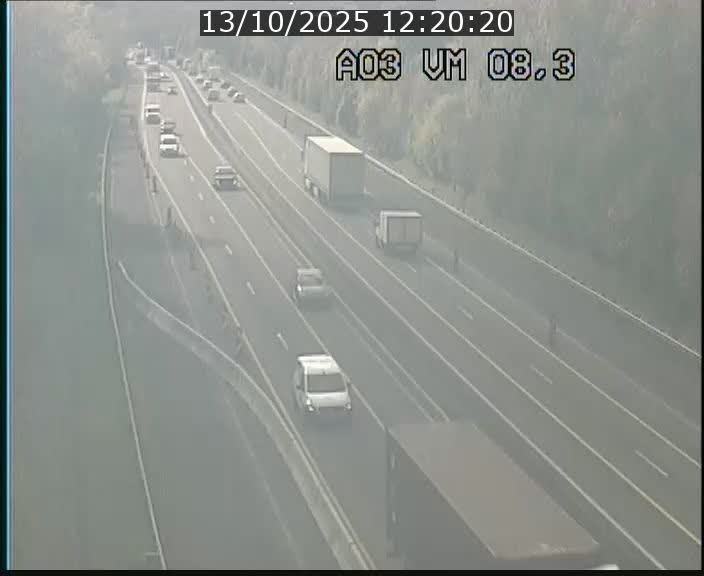 Traffic live webcam Luxembourg Bettembourg - A3 - BK 8.3 - direction France