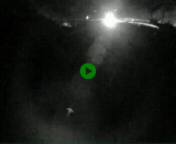 Webcam L'Hospitalet-près-l'Andorre sur N20, en direction d'Andorre