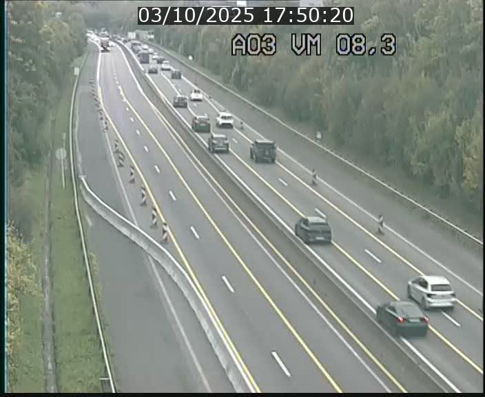 Traffic live webcam Luxembourg Bettembourg - A3 - BK 8.3 - direction France