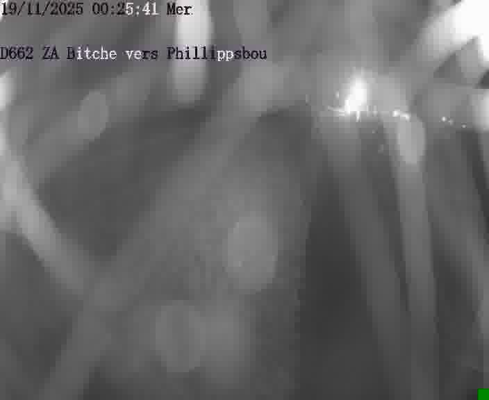 Caméra de trafic sur D662 (France) à Bitche, orientée vers Phillippsbourg, permettant d’évaluer fluidité, incidents et densité automobile.