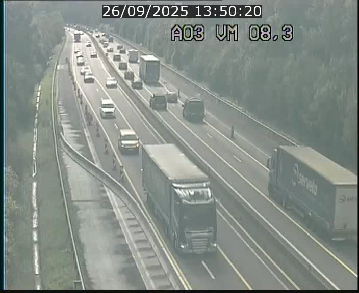 Traffic live webcam Luxembourg Bettembourg - A3 - BK 8.3 - direction France