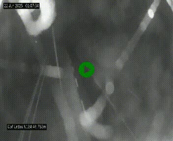 Webcam dans les Pyrénées Atlantique au niveau du col d'Urdos et du fort du Pourtalet sur la N134, en direction du Col et du tunnel du Somport, à 765 mètres d'altitude