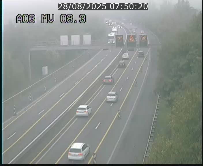Webcam Autoroute après la Croix de Bettembourg en direction de Luxembourg sur l'A3