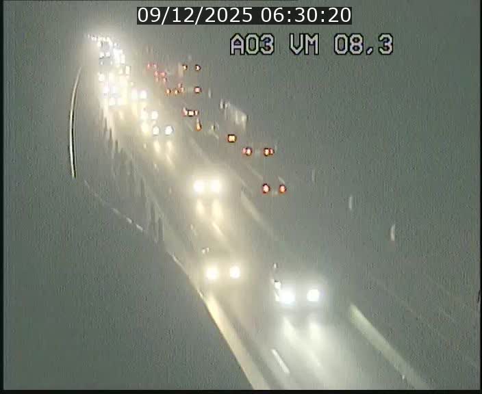 Traffic live webcam Luxembourg Bettembourg - A3 - BK 8.3 - direction France