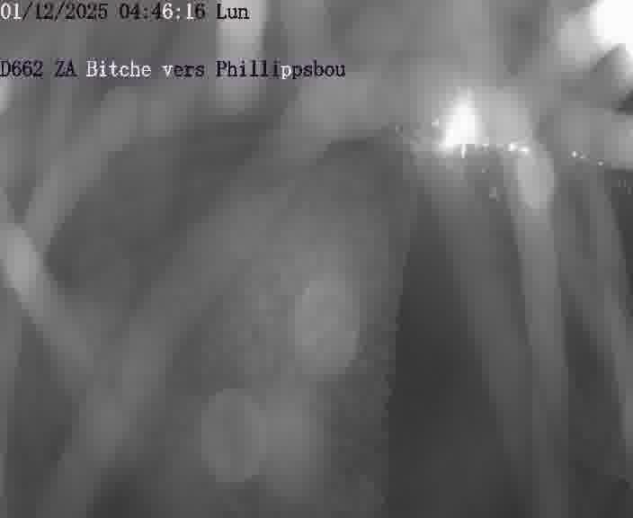 Caméra de trafic sur D662 (France) à Bitche, orientée vers Phillippsbourg, permettant d’évaluer fluidité, incidents et densité automobile.