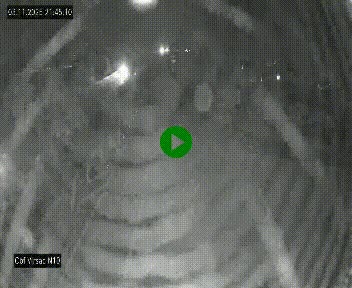 Vue en direct de l'autoroute A10 grâce à un drône situé au-dessus du péage de Virsac