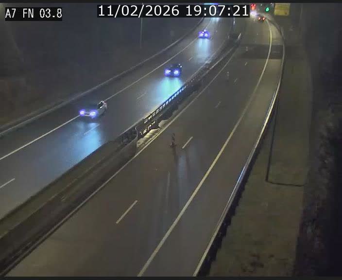 Caméra autoroute Luxembourg A7 - Passage à gibier Rëngelbour - direction Tunnel Stafelter