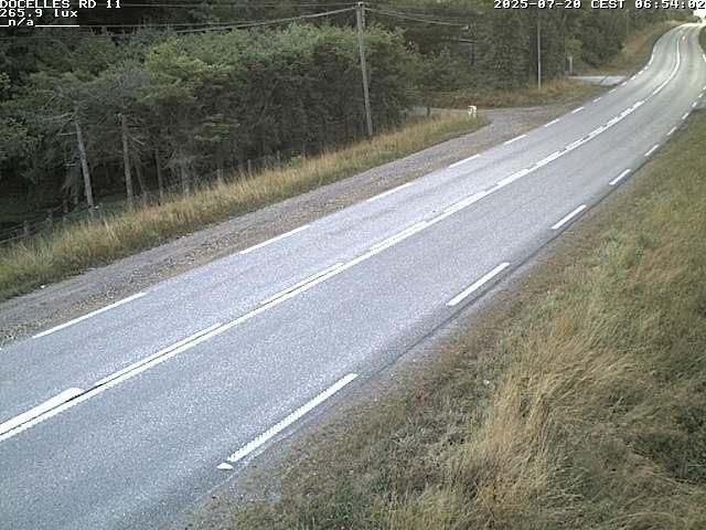 Webcam à 424 mètres d'altitude dans la Tranchée de Docelles dans les Vosges, à proximité d'Epinal sur la route de Gerardmer (D11)