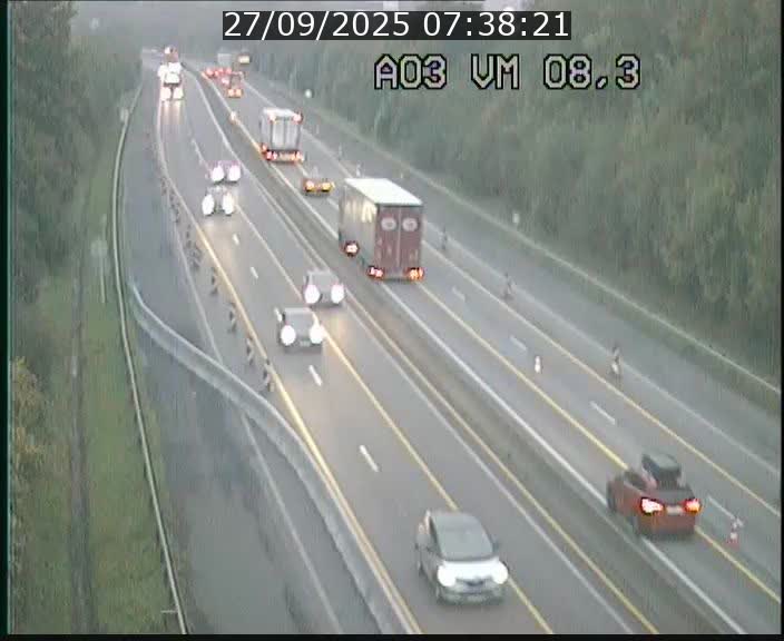 Traffic live webcam Luxembourg Bettembourg - A3 - BK 8.3 - direction France