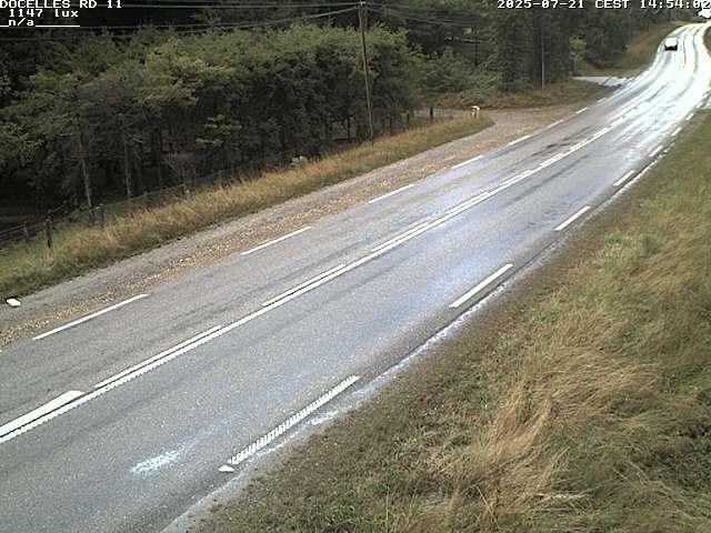 Webcam à 424 mètres d'altitude dans la Tranchée de Docelles dans les Vosges, à proximité d'Epinal sur la route de Gerardmer (D11)