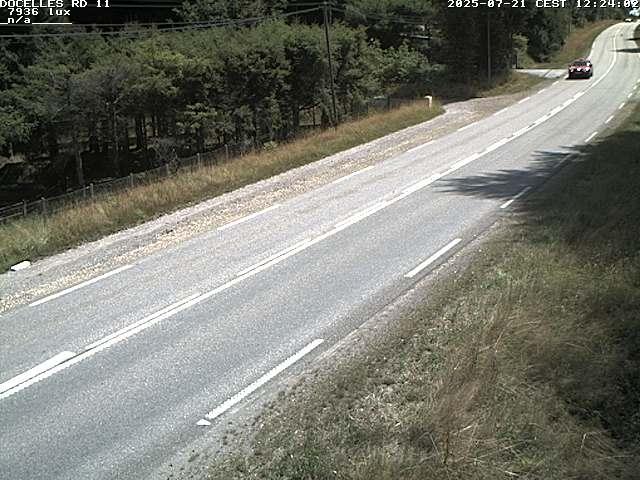 Webcam à 424 mètres d'altitude dans la Tranchée de Docelles dans les Vosges, à proximité d'Epinal sur la route de Gerardmer (D11)