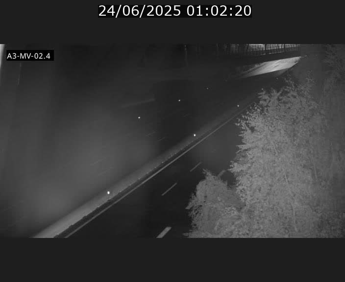 Webcam autoroute de la France (A3) au Luxembourg à Fentange, à proximité de la Croix de Gasperich. Vue orientée vers la Cloche d'Or