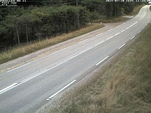 Webcam à 424 mètres d'altitude dans la Tranchée de Docelles dans les Vosges, à proximité d'Epinal sur la route de Gerardmer (D11)