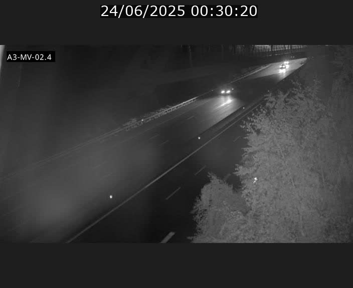 Webcam autoroute de la France (A3) au Luxembourg à Fentange, à proximité de la Croix de Gasperich. Vue orientée vers la Cloche d'Or