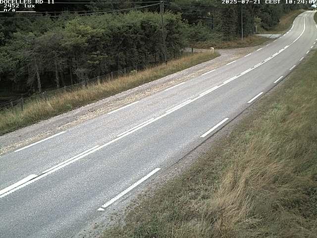 Webcam à 424 mètres d'altitude dans la Tranchée de Docelles dans les Vosges, à proximité d'Epinal sur la route de Gerardmer (D11)