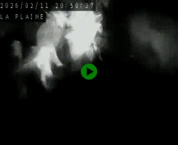 Caméra routière France - N109, Juvignac - La plaine, en direction de Clermont l'Hérault, à la sortie de Montpellier