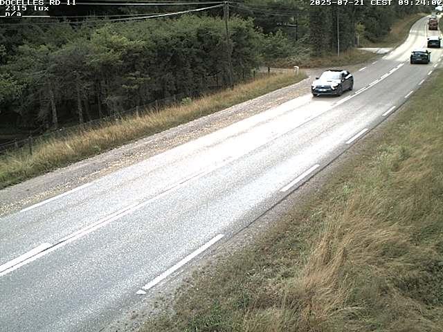 Webcam à 424 mètres d'altitude dans la Tranchée de Docelles dans les Vosges, à proximité d'Epinal sur la route de Gerardmer (D11)