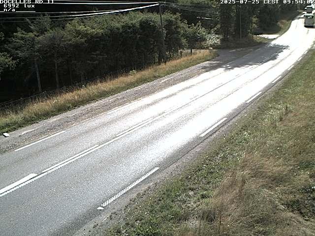 Webcam à 424 mètres d'altitude dans la Tranchée de Docelles dans les Vosges, à proximité d'Epinal sur la route de Gerardmer (D11)