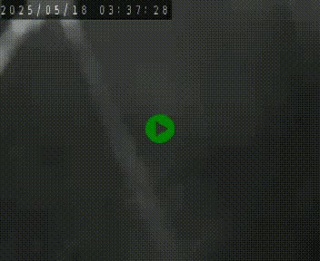 Webcam routière au niveau du col de la Chavade en Ardèche, sur la N102 à 1266 mètres d'altitude