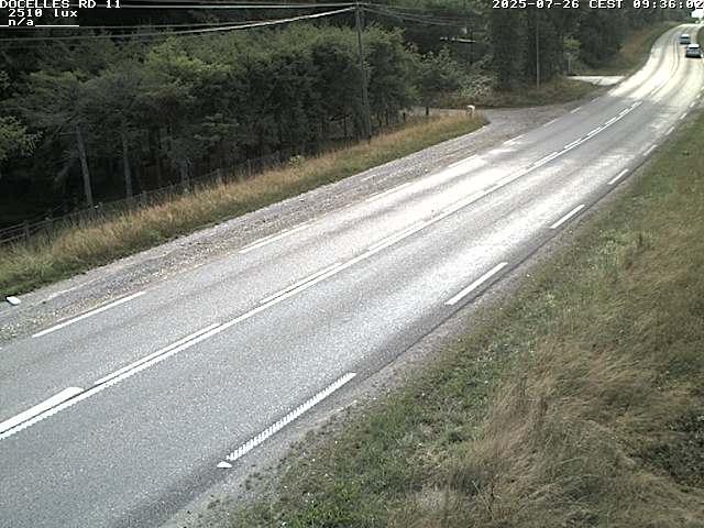 Webcam à 424 mètres d'altitude dans la Tranchée de Docelles dans les Vosges, à proximité d'Epinal sur la route de Gerardmer (D11)