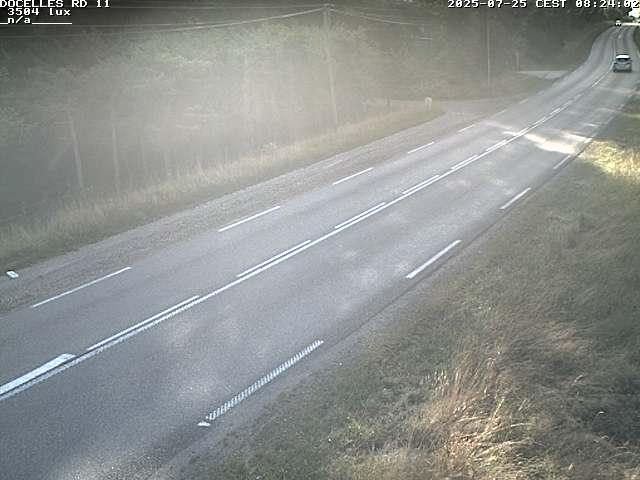 Webcam à 424 mètres d'altitude dans la Tranchée de Docelles dans les Vosges, à proximité d'Epinal sur la route de Gerardmer (D11)