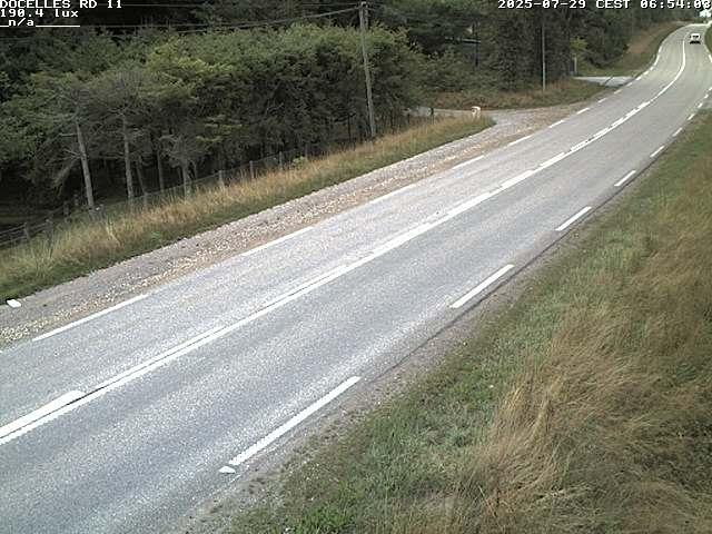 Webcam à 424 mètres d'altitude dans la Tranchée de Docelles dans les Vosges, à proximité d'Epinal sur la route de Gerardmer (D11)
