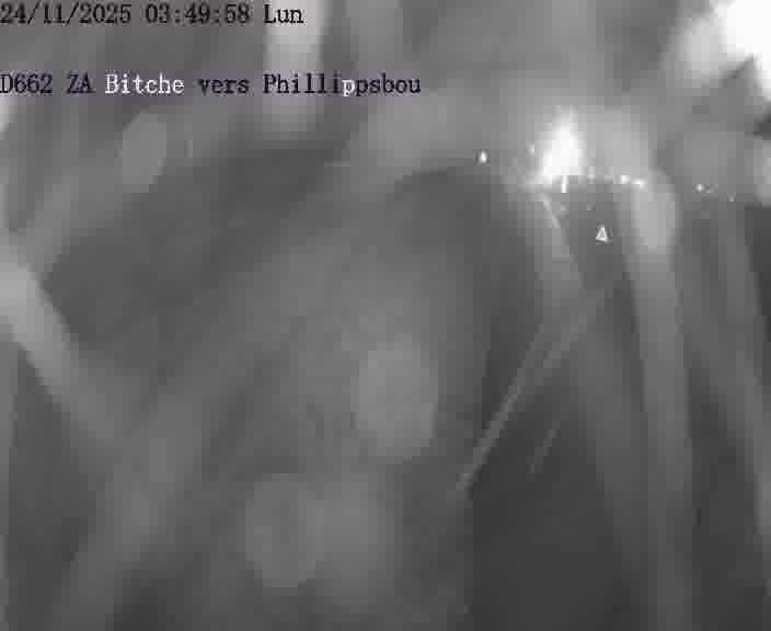 Caméra de trafic sur D662 (France) à Bitche, orientée vers Phillippsbourg, permettant d’évaluer fluidité, incidents et densité automobile.