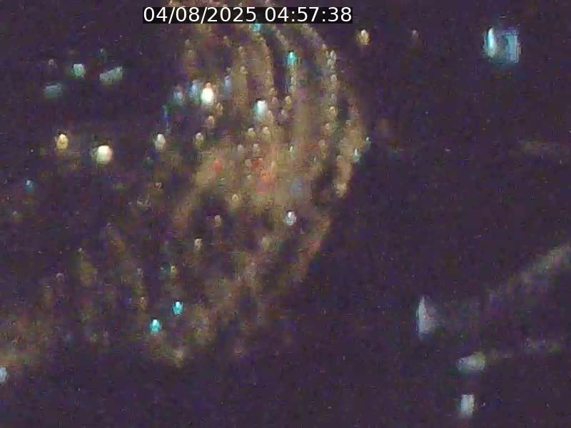 Webcam sur l'avenue John Fitzgerald Kennedy (N51) avec vue orientée vers le Findel