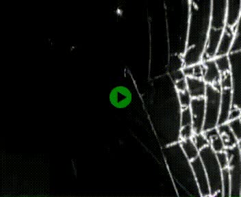 Webcam à hauteur de Vert-en-Drouais sur la N12, en périphérie de Dreux. Vue orientée vers Alençon