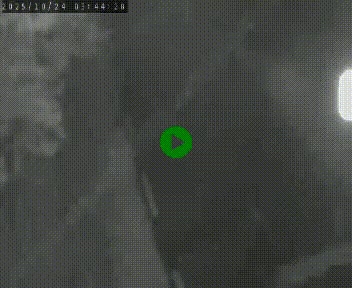 Caméra routière France - N102, au niveau du col de Montmirat à Saint-Etienne-du-Valdonnez à 1039 mètres d'altitude