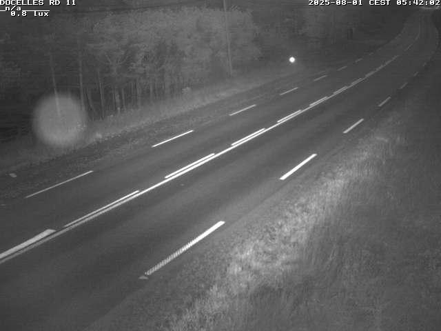 Webcam à 424 mètres d'altitude dans la Tranchée de Docelles dans les Vosges, à proximité d'Epinal sur la route de Gerardmer (D11)