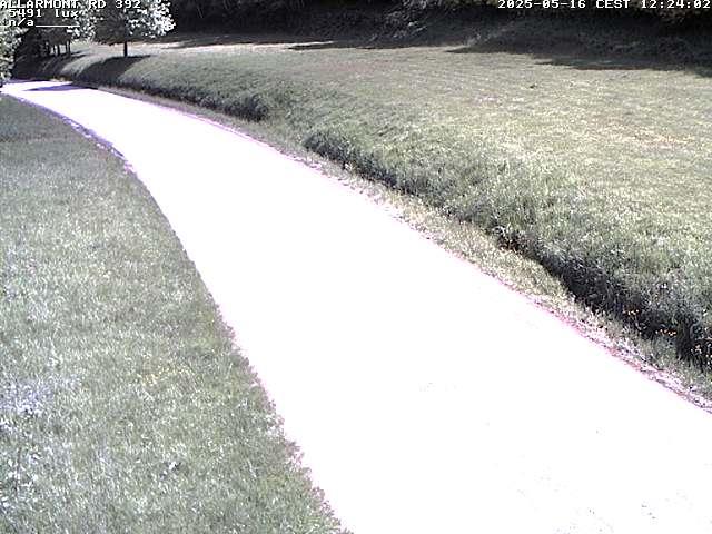 Webcam à Allarmont dans les Vosges, sur la RD392