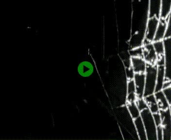 Webcam à hauteur de Vert-en-Drouais sur la N12, en périphérie de Dreux. Vue orientée vers Alençon