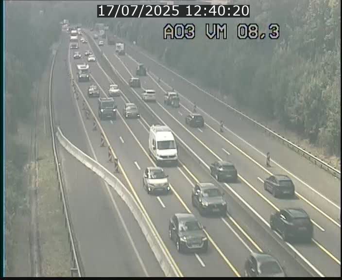 Traffic live webcam Luxembourg Bettembourg - A3 - BK 8.3 - direction France