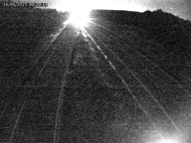 Caméra autoroute France - A31, Velaine-en-Haye direction Nancy