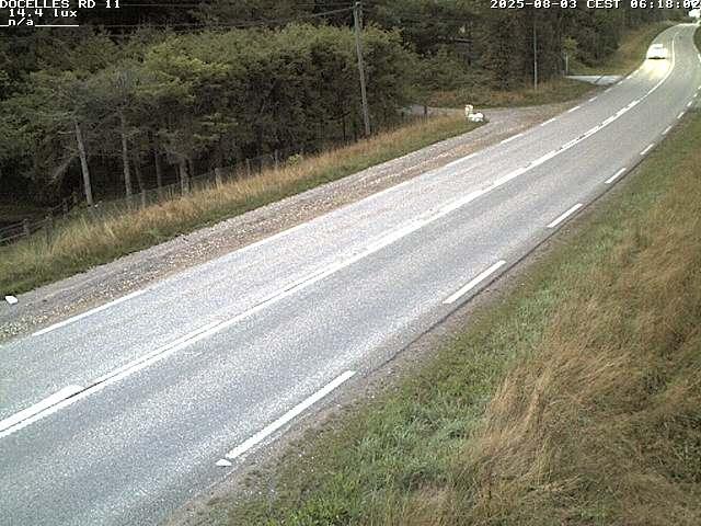 Webcam à 424 mètres d'altitude dans la Tranchée de Docelles dans les Vosges, à proximité d'Epinal sur la route de Gerardmer (D11)
