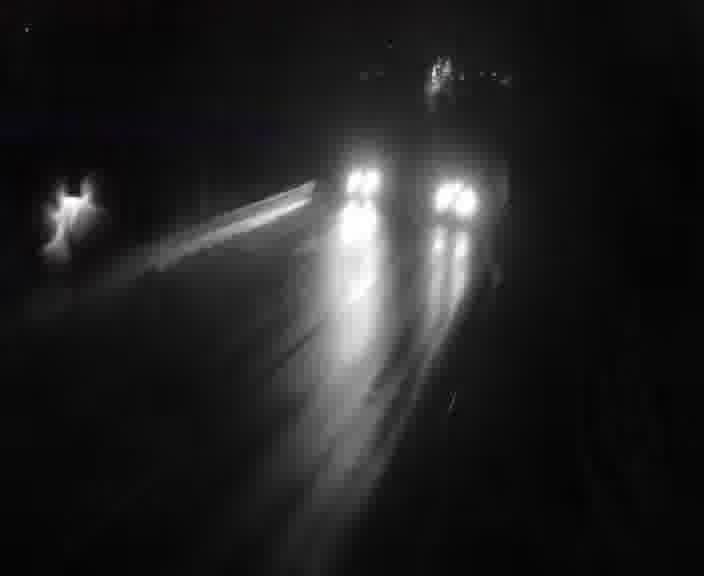 Clone of Webcam sur la D603 située à proximité de Saint-Avold. Vue orientée vers Metz