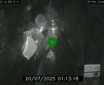Webcam sur la N165 après le Pont de l'Iroise, à l'entrée de Brest