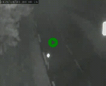 Caméra routière France - N102, au niveau du col de Montmirat à Saint-Etienne-du-Valdonnez à 1039 mètres d'altitude