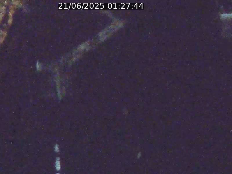 Webcam sur l'avenue John Fitzgerald Kennedy (N51) avec vue orientée vers le Findel