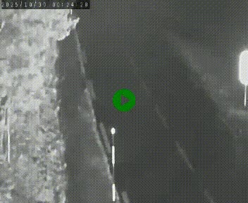 Caméra routière France - N102, au niveau du col de Montmirat à Saint-Etienne-du-Valdonnez à 1039 mètres d'altitude