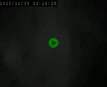 Webcam routière au niveau du col de la Chavade en Ardèche, sur la N102 à 1266 mètres d'altitude