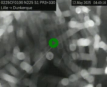 Webcam autoroute A25 (N225) à hauteur de Bergues (Bierne). Vue orientée vers Dunkerque.