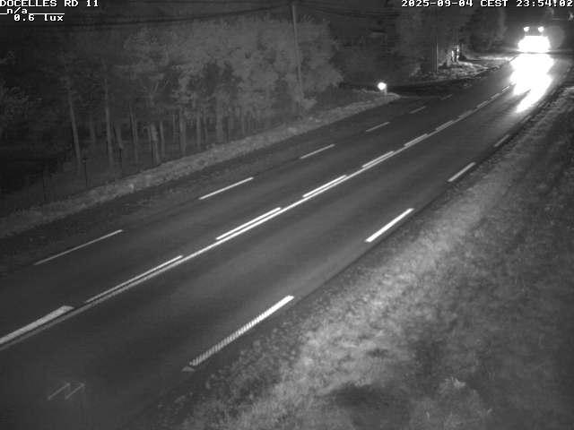 Webcam à 424 mètres d'altitude dans la Tranchée de Docelles dans les Vosges, à proximité d'Epinal sur la route de Gerardmer (D11)