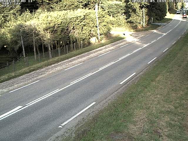 Webcam à 424 mètres d'altitude dans la Tranchée de Docelles dans les Vosges, à proximité d'Epinal sur la route de Gerardmer (D11)